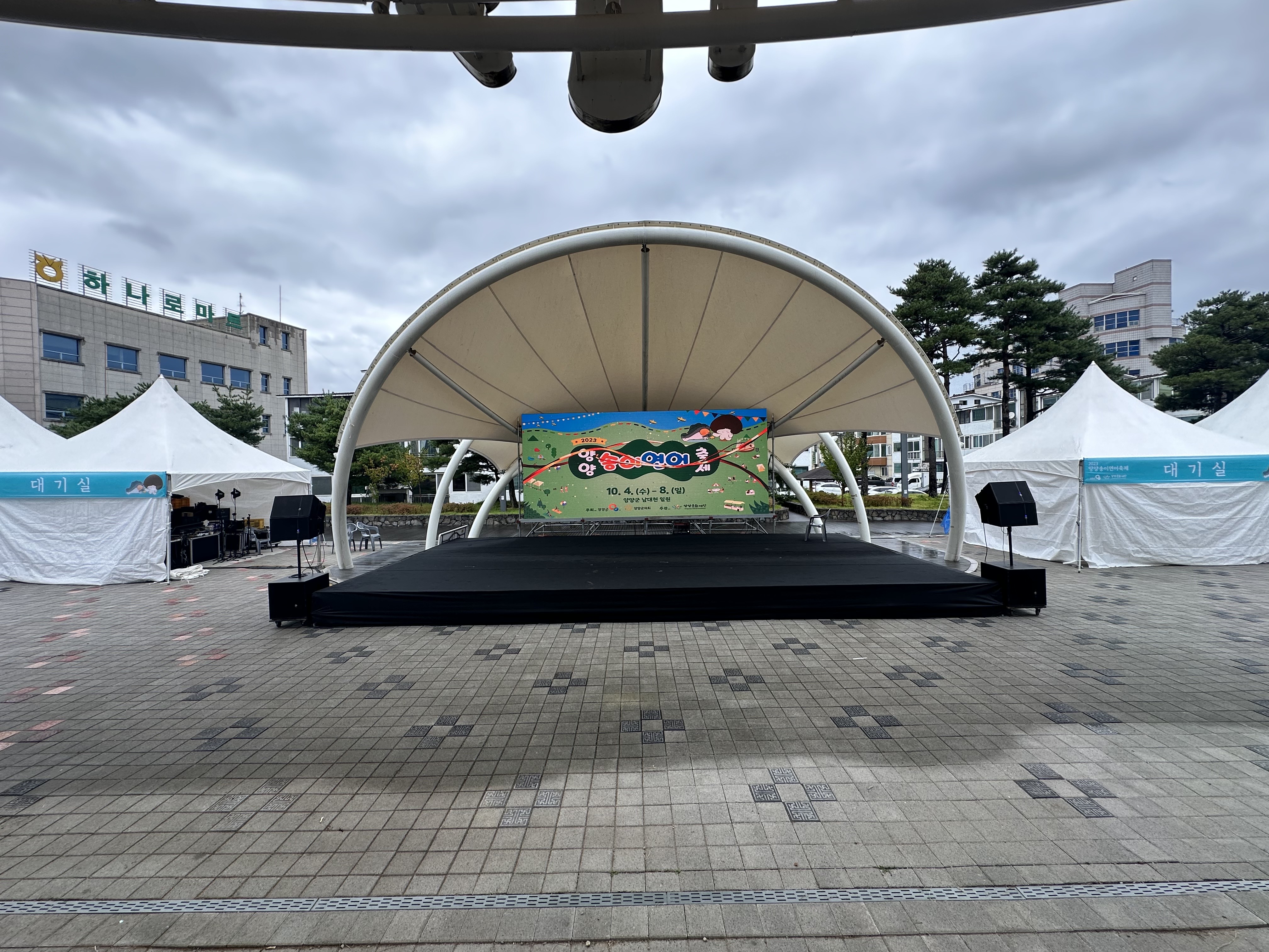 2023 양양 송이연어 축제
